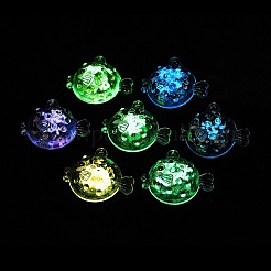 Transparent Luminous Acrylic Pendants&nbsp;TACR-Z002-02