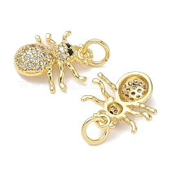 Brass Micro Pave Cubic Zirconia Charms&nbsp;KK-L253-31G