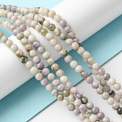 Natural Peace Jade Beads Strands&nbsp;G-E598-04D