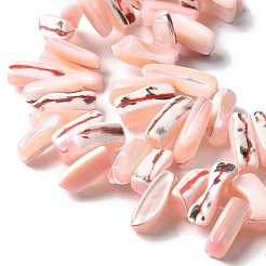 Dyed Natural Trochus Shell Beads Strands&nbsp;SSHEL-C013-09L