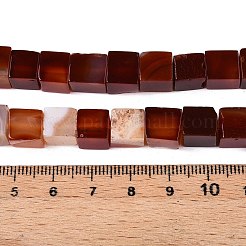 Natural Red Agate(Dyed & Heated) Beads Strands&nbsp;G-T139-8x8-35A