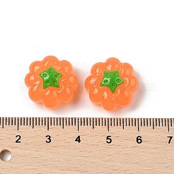 Resin Cabochons&nbsp;RESI-S012-03B