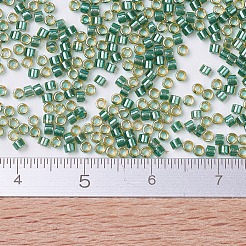 MIYUKI Delica Beads&nbsp;SEED-X0054-DB0917