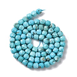 Natural Howlite Beads Strands&nbsp;G-G001-B02-05