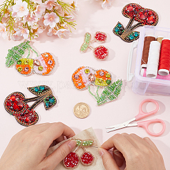 6Pcs 3 Styles Cherry Acrylic Iron on/Sew On Patches&nbsp;PATC-GF0001-50