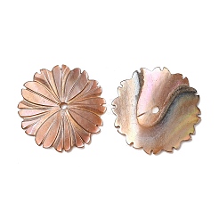 Natural Sea Shell Beads&nbsp;SHEL-F007-22