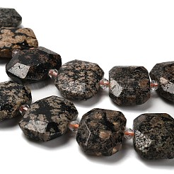 Natural Snowflake Obsidian Beads Strands&nbsp;G-H078-B22-01