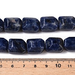 Natural Sodalite Beads Strands&nbsp;G-N342-145
