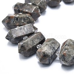 Natural Fluorescent Syenite Rock(Glow under UV Light) Beads Strands&nbsp;G-F715-044