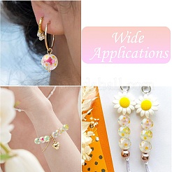 Plating Transparent Acrylic Beads&nbsp;TACR-CJC0001-12