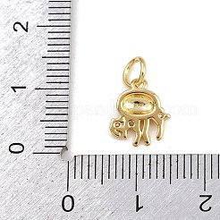 Brass Micro Pave Cubic Zirconia Pendants&nbsp;KK-A269-04D-G