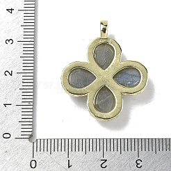 Natural LabradoriteFaceted Pendants&nbsp;G-A308-01G-14
