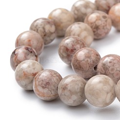 Natural Maifanite/Maifan Stone Beads Strands&nbsp;G-P451-01A-B