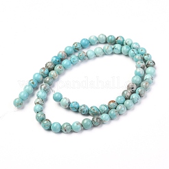 Natural Howlite Beads Strands&nbsp;X-G-L555-02-6mm