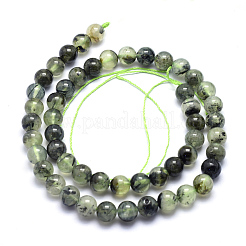 Natural Prehnite Beads Strands&nbsp;G-K224-03-8mm