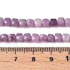 Natural Lepidolite/Purple Mica Stone Beads Strands&nbsp;G-N342-139