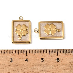 Saint Patrick's Day 304 Stainless Steel Enamel Pendants&nbsp;STAS-I371-15G-02