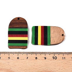 Jamaican Colour Epoxy Resin & Walnut Wood Pendants&nbsp;RESI-N039-122R
