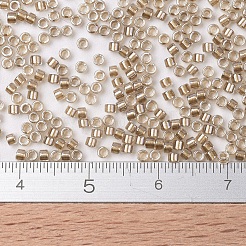MIYUKI Delica Beads&nbsp;X-SEED-J020-DB0907