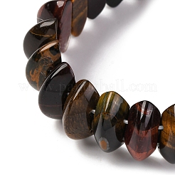 Bicone Natural Yellow Blue Tiger Eye Beads Stretch Bracelets for Women Men&nbsp;BJEW-C097-05P