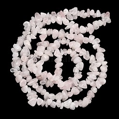Natural Rose Quartz Beads Strands&nbsp;G-K409-A02-01