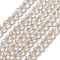 Electroplate Glass Beads Strands, Faceted, Bicone, Old Lace, 5.5~6x5mm, Hole: 1.2mm, about 78~79pcs/strand, 15.35~15.55''(39~39.5cm)