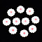 Natural Freshwater Shell Beads, with Enamel, Flower, Light Coral, 12~13x3~4mm, Hole: 0.9mm