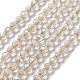 Electroplate Glass Beads Strands&nbsp;GLAA-A014-02H-1