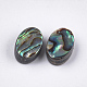 Abalone Shell/Paua Shell Beads&nbsp;SSHEL-T008-07-2