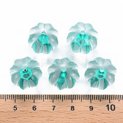 Transparent Acrylic Beads&nbsp;TACR-S154-19A-68