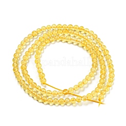 Natural Amber Beads Strands&nbsp;G-L584-02-01