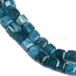 Natural Apatite Beads Strands&nbsp;G-P553-E03-02