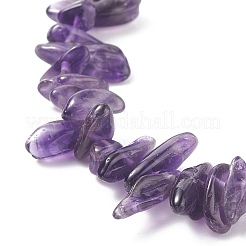 Natural Amethyst Chip Beaded Necklace&nbsp;NJEW-JN03824-03