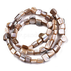 Natural Freshwater Shell Beads Strands&nbsp;SHEL-N026-124