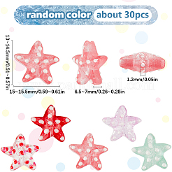 1 Strand Handmade Lampwork Beads Strands&nbsp;LAMP-SC0001-51