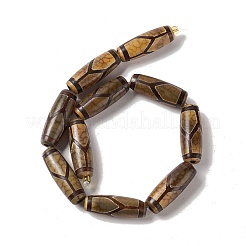 Tibetan Style dZi Beads Strands&nbsp;G-A024-01T