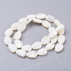 Natural Trochid Shell/Trochus Shell Beads Strands&nbsp;SSHEL-K015-05