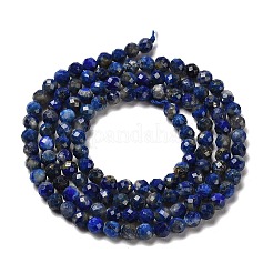 Natural Lapis Lazuli Beads Strands&nbsp;G-Z035-A01-02B