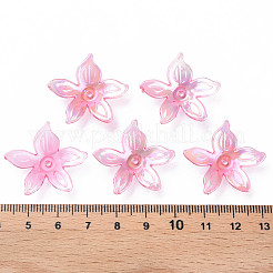 Transparent Acrylic Beads&nbsp;MACR-S373-102-C01