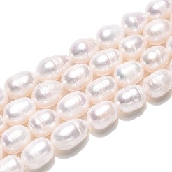 Natural Cultured Freshwater Pearl Beads Strands&nbsp;PEAR-T006-19D