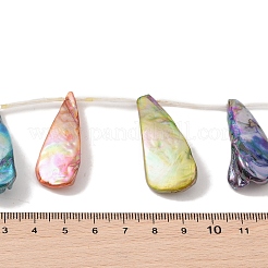 Natural Freshwater Shell Beads Strands&nbsp;BSHE-H018-08