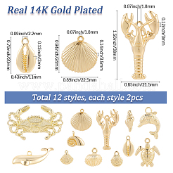 24Pcs 12 Styles Alloy Pendants&nbsp;FIND-SC0021-01