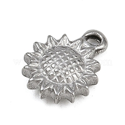 304 Stainless Steel Charms&nbsp;STAS-G363-12P