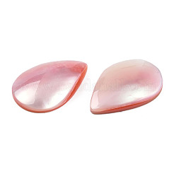 Natural Turbo Cornulus/Top Shells Cabochons&nbsp;SSHEL-N003-157B