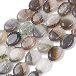 Natural Agate Beads Strands&nbsp;G-L654-B01-01