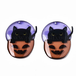 Epoxy Resin Pendants&nbsp;RESI-S379-021