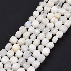 Natural Rainbow Moonstone Beads Strands&nbsp;G-K323-11