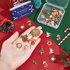 40Pcs 10 Style Alloy Enamel Pendants&nbsp;ENAM-SC0003-67