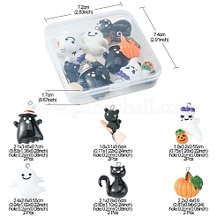 12Pcs 6 Styles Halloween Opaque Resin Pendants&nbsp;RESI-FS0001-33