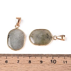 Natural Labradorite Pendants&nbsp;G-N349-04E-G